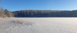 Talvinen järvi